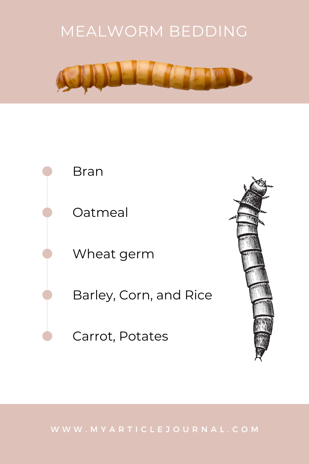 mealworm bedding